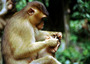 borneo - locals.jpg